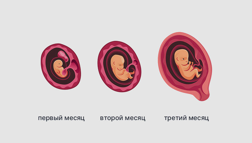 https://gemotest.ru/upload/medialibrary/23545/Галерея1-1.jpg